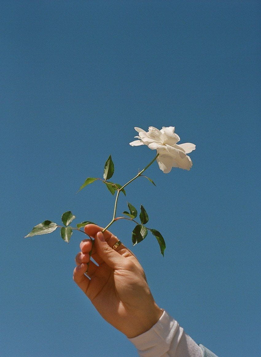 Blumen- und Himmelsästhetik, Ästhetik für Jungen HD-Handy-Hintergrundbild