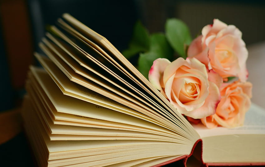Fiori, rose, bouquet, libro, lettura Sfondo HD
