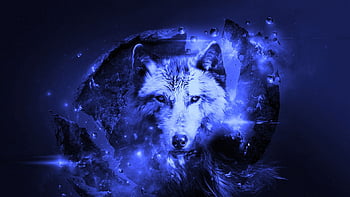 wolf backgrounds for desktop hd