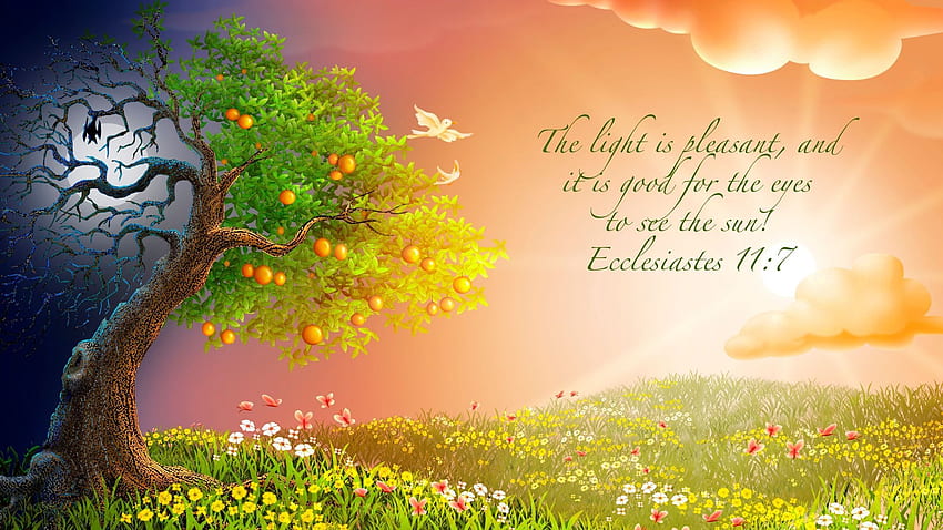 spring high resolution background. Bible , Inspirational scripture, Daily scripture HD wallpaper