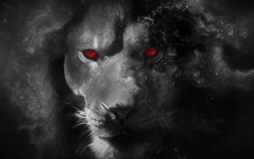 Awesome Angry Lion Eyes HD wallpaper
