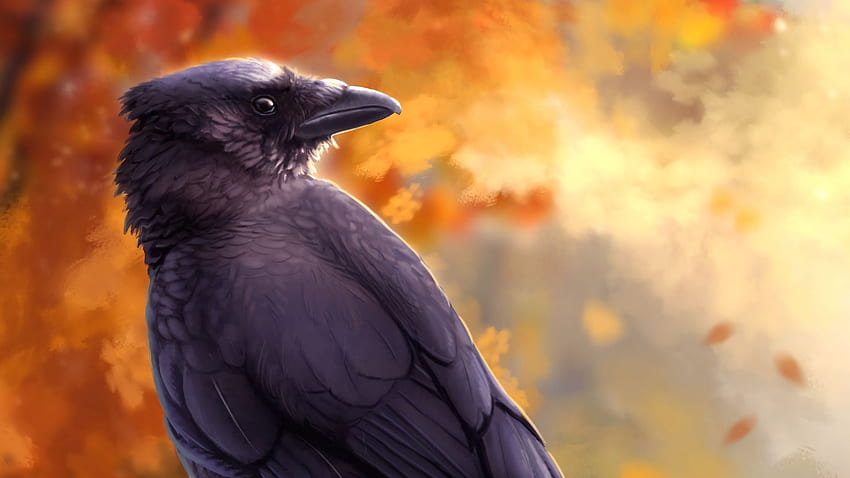 raven, bird, art, black, autumn full , tv, f, background HD wallpaper