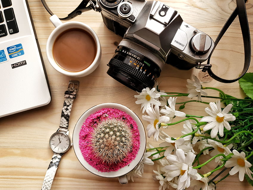 Cámara Dslr gris junto a flores y reloj de pulsera cerca del café · Stock, cámara floral fondo de pantalla