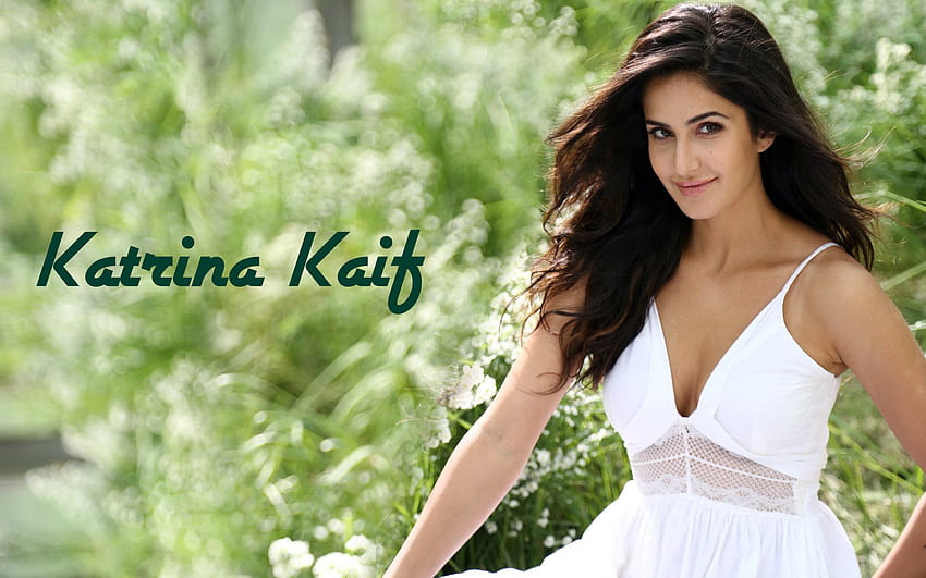 Katrina Kaif, Indian actress, Bollywood actress HD wallpaper | Pxfuel