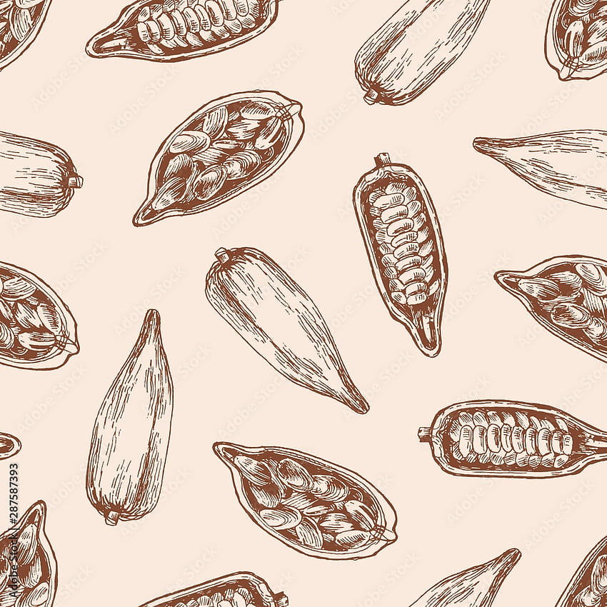 Kakaofrucht mit nahtlosem Muster des Samenvektors. Kakaosprossen mit Schokoladenbohnen auf pastellfarbenem Hintergrund. Bio-Lebensmittel, handgezeichnete exotische Pflanze. Geschenkpapier für tropische Süßigkeiten, Textildesign. Aktienvektor HD-Handy-Hintergrundbild