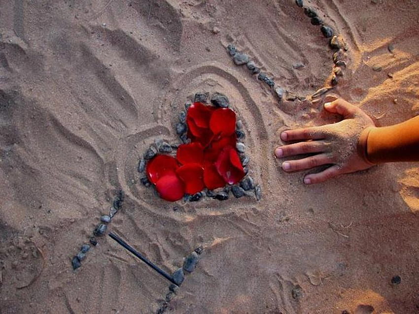 Power of Love, sea, shapes, sand, lovers, writing, people, gravels, hand, rose, love, red HD wallpaper