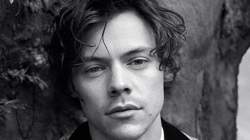 Black And White Of Harry Styles Harry Styles . HD wallpaper
