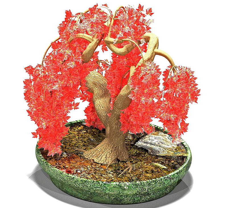 Red Maple Bonsai Tree 3D Model HD wallpaper
