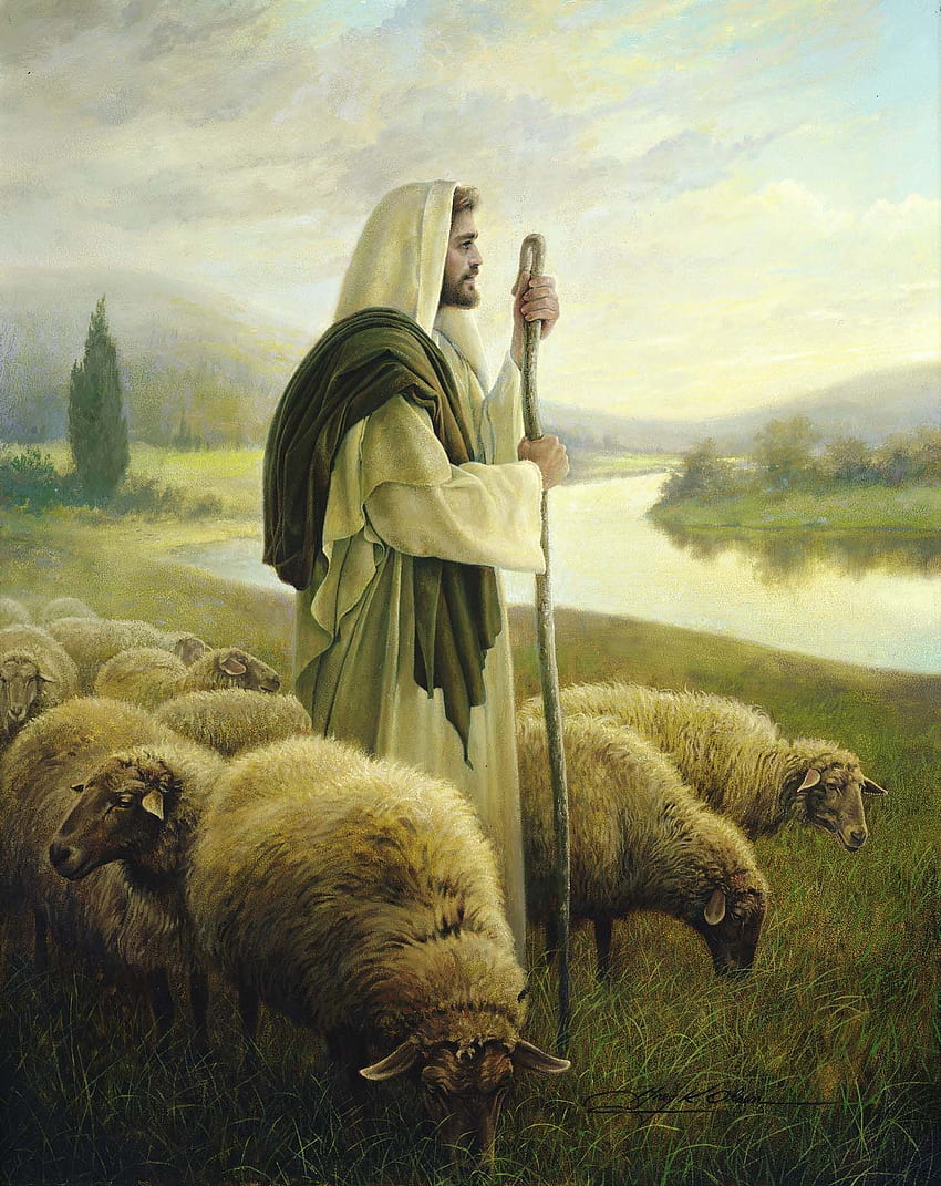 The Good Shepherd. Jesus HD phone wallpaper