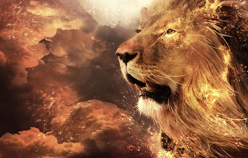 background, , , Leo, head, mouth, , , background, , Lion, full screen, , jaws, , fullscreen for , section кошки HD wallpaper