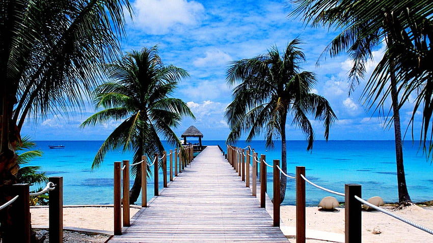 Beach Paradise, morze, palma, chmury, drzewa, raj, natura, plaża Tapeta HD