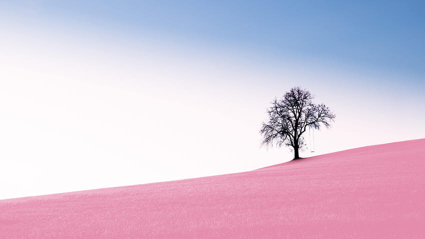 Tree Pink Desert 10k , , Фон и природа 10k HD тапет