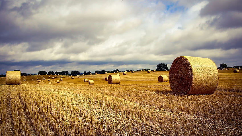 Harvest Time, straw, sky, bales, field, clouds HD wallpaper