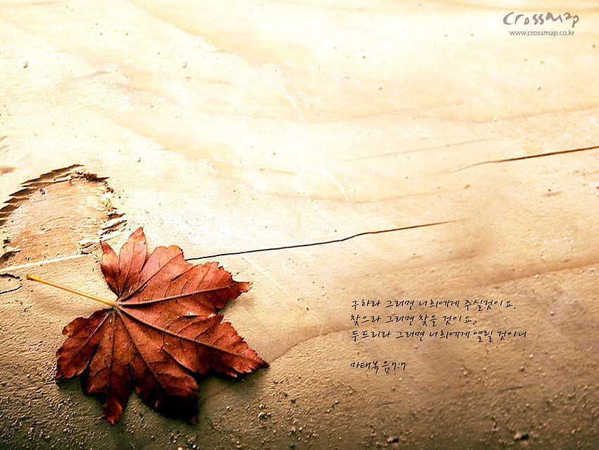 Autumn scripture HD wallpapers  Pxfuel