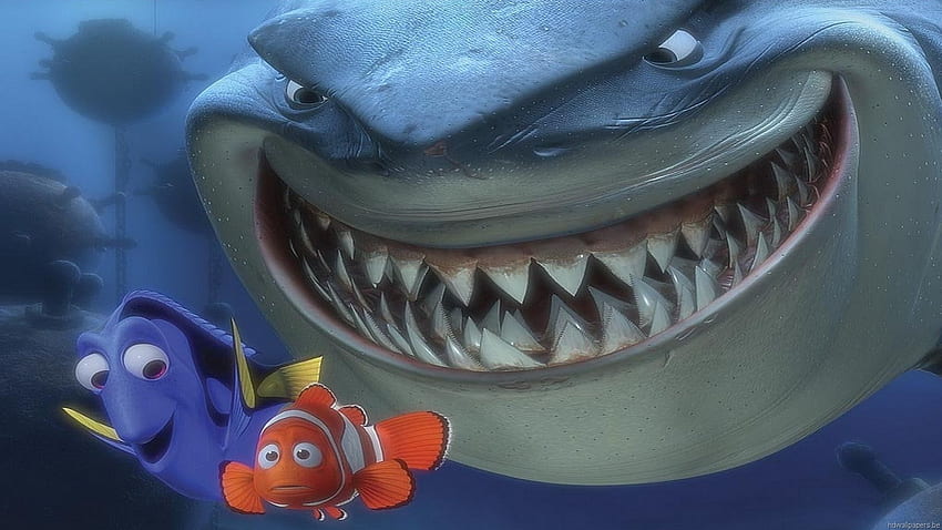 Tiburón Buscando a Nemo fondo de pantalla | Pxfuel