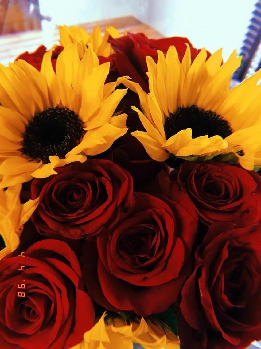 Share more than 59 roses and sunflowers wallpaper best - in.cdgdbentre