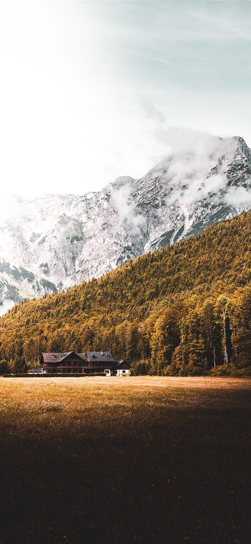 House Forest and Mountain in Austria iPhone X HD phone wallpaper