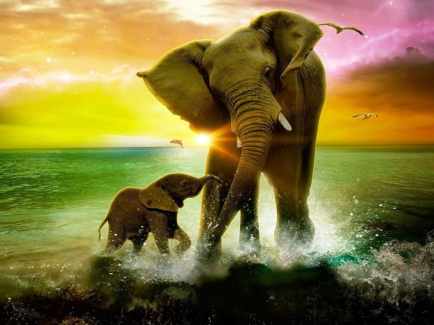 Adorable Elephant, Elephant Family HD wallpaper