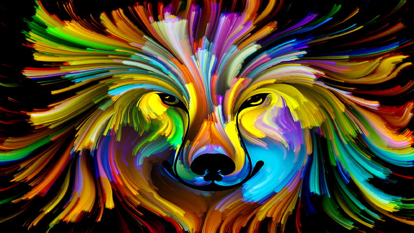 colorful dog [] :, Colorful Animal HD wallpaper