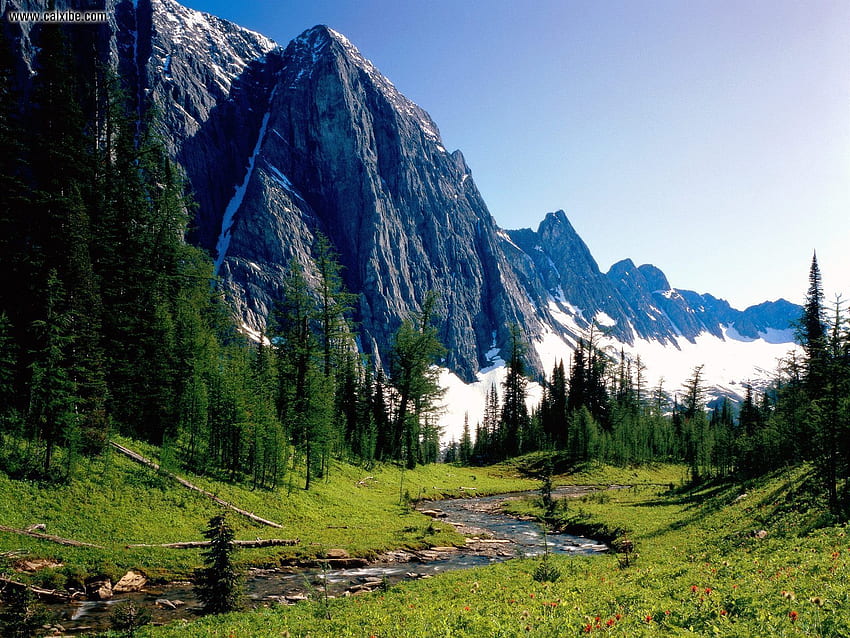 Nature: Winding Stream, Banff National Park, Alberta, Canada HD wallpaper