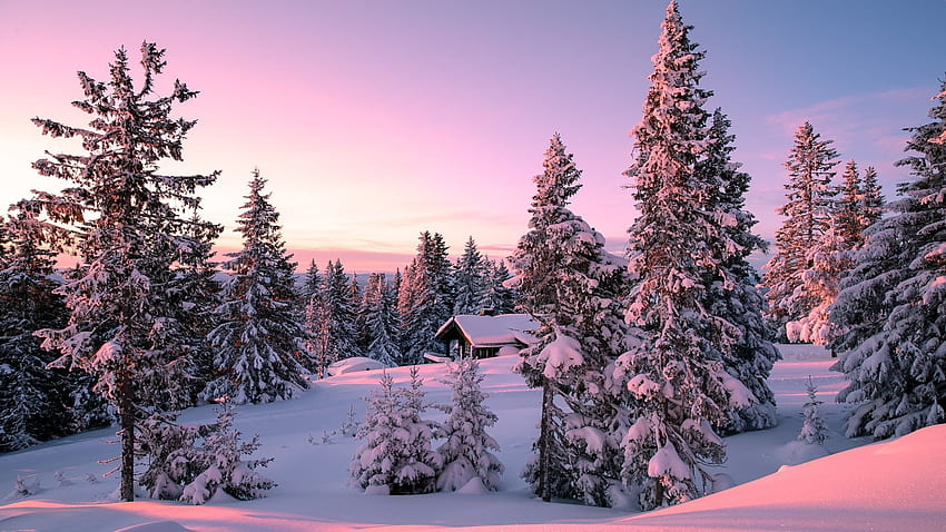 Di A Winter Wonderland, matahari terbenam, salju, pepohonan, lanskap, warna, langit Wallpaper HD