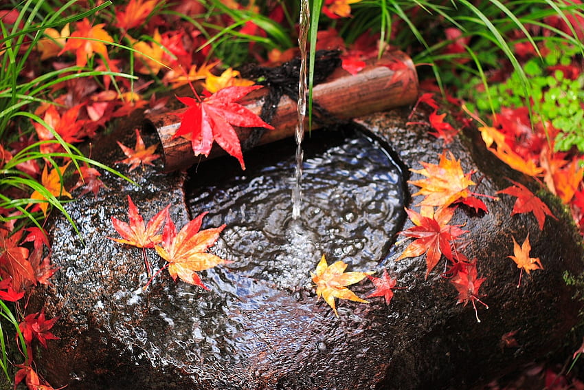 자연, 물, 가을, 나뭇잎, 바위, 돌, 제트기 HD 월페이퍼