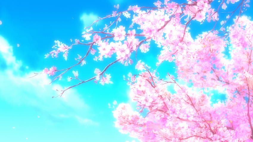 Cherry Blossom., Sakura Tree Anime Tapeta HD