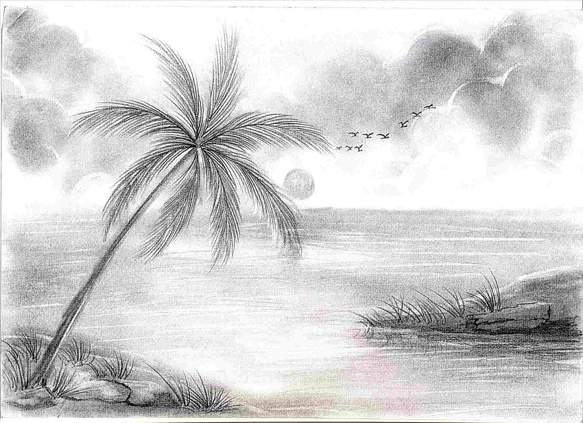 3500 Coconut Tree Drawing Illustrations RoyaltyFree Vector Graphics   Clip Art  iStock