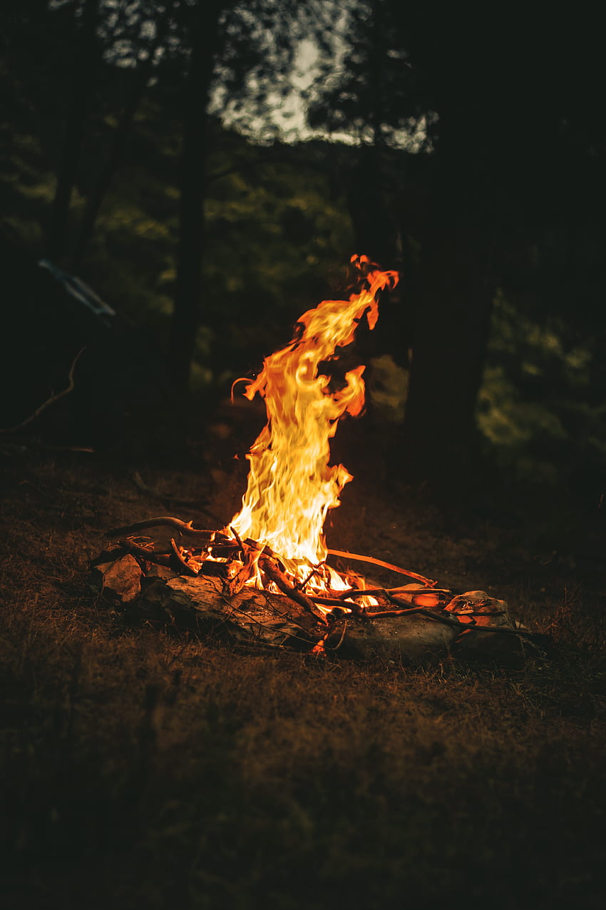 1,Best Campfire · 100% s, Campfire Night HD phone wallpaper | Pxfuel