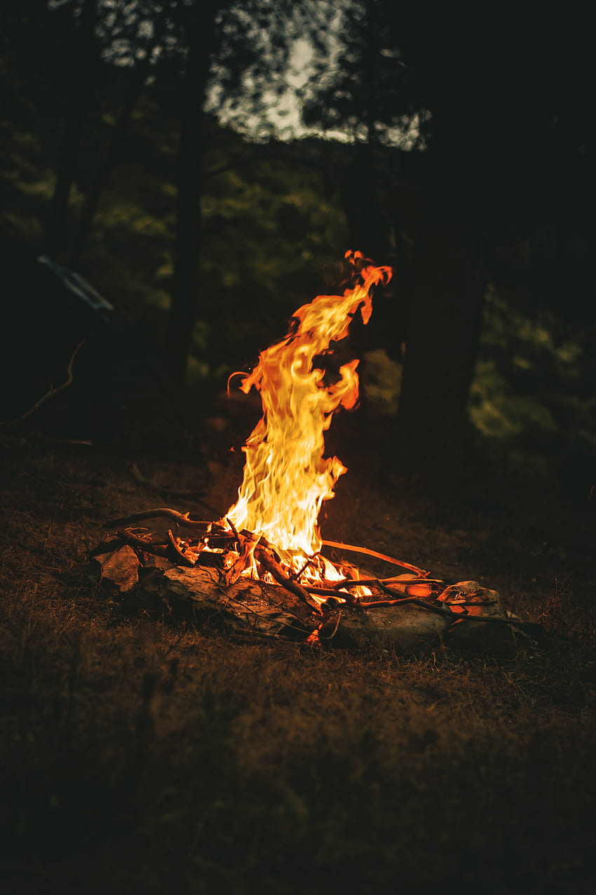 1,Best Campfire · 100% s, Campfire Night HD phone wallpaper