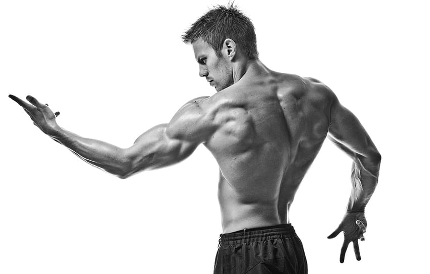 sport, muscles, black and white, pose, gym for , section мужчины, Gym Black HD wallpaper