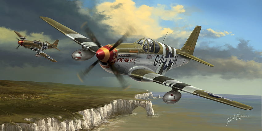 P51 空飛ぶキャデラック、アメリカ、軍事、絵画、飛行、第二次世界大戦、飛行機、戦争 高画質の壁紙