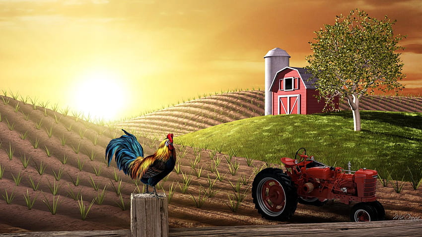 Barnyard Wallpapers - Top Free Barnyard Backgrounds - WallpaperAccess