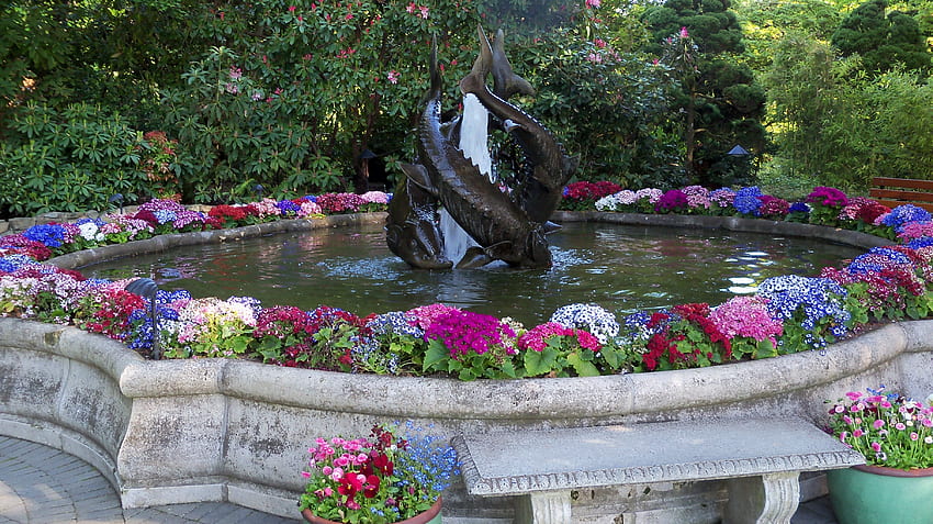Butchart Gardens แคนาดา แอ่งน้ำ ดอกไม้ น้ำ สวนสาธารณะ รูปปั้น วอลล์เปเปอร์ HD