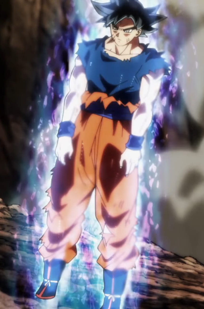 Goku Ultra Instinct Cuerpo Completo por SonimBleinim. Esfera del dragón  fondo de pantalla del teléfono | Pxfuel