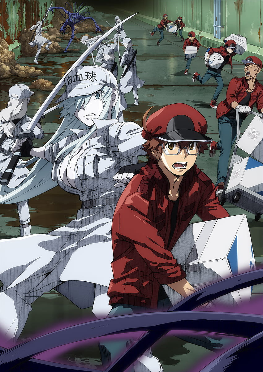 Hataraku Saibou Black (Cells At Work! Code Black) Anime Board Tapeta na telefon HD