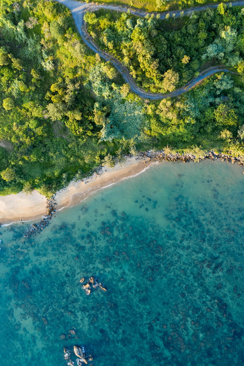 naturaleza, árboles, mar, playa, vista desde arriba, costa, vegetación fondo de pantalla del teléfono