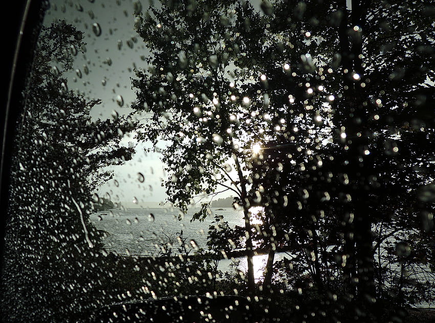 Cool Summer Rain, Abstract, graphy, Trees, Lake, Nature, Raindrops, Sun, Sky HD wallpaper