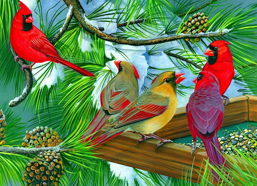 Cardinals at a feeder, colorful, birds, nice, painting, cardinal, friends, sweet, feeder, cote, woods, beautiful, food, tree, family, pretty, nature, lovely HD wallpaper