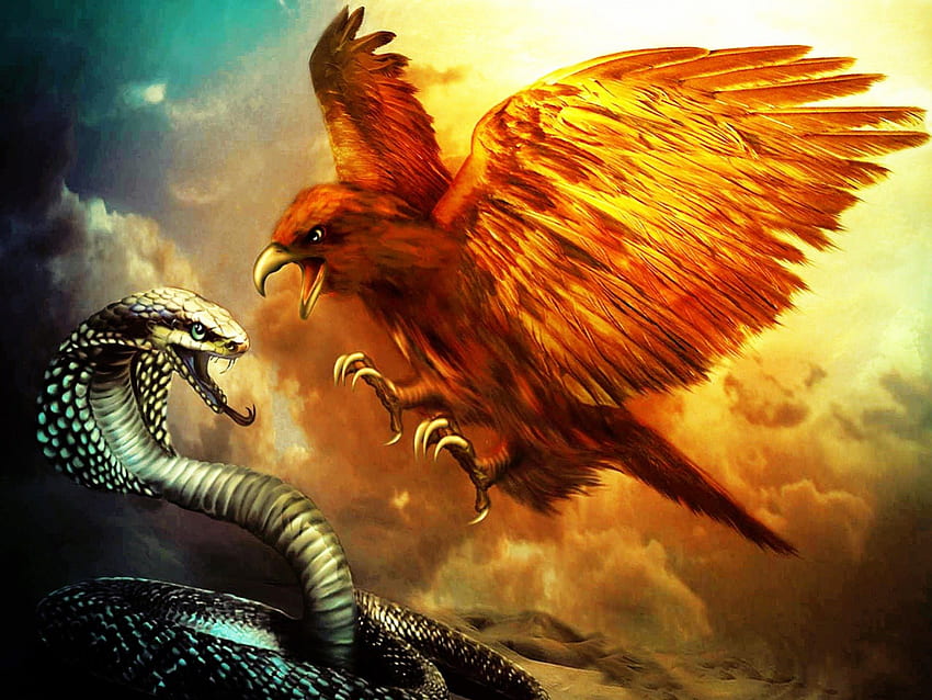 eagle snake fight, snake, sky, fire, eagle HD wallpaper