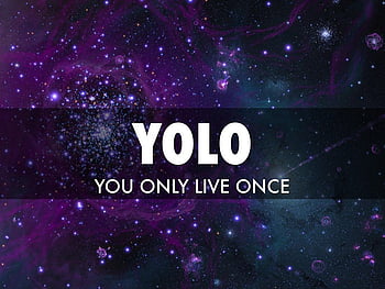 yolo wallpaper