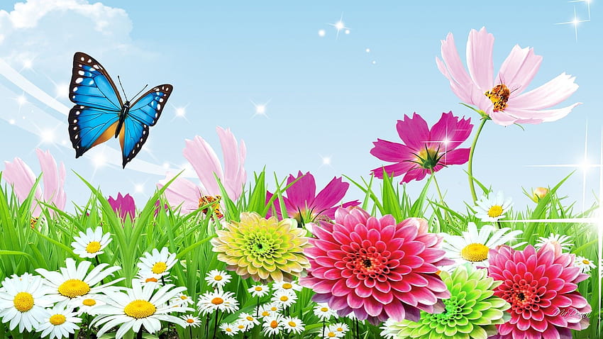 Пролетна пеперуда широкоекранна през 2020 г. Пеперуда, пеперуден фон, цвете HD тапет