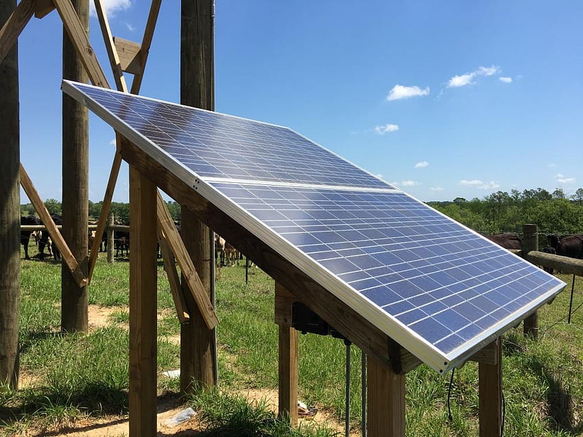 Usando energia solar para bombear água para o gado, voltaica papel de parede HD