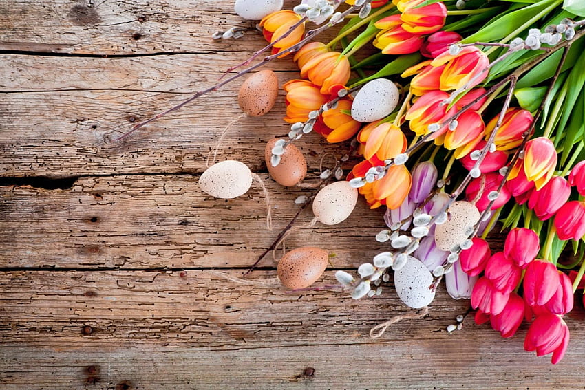 Spring background, colorful, bouquet, beautiful, tulips, eggs, spring, background, pretty, freshness, flowers, easter, lovely HD wallpaper