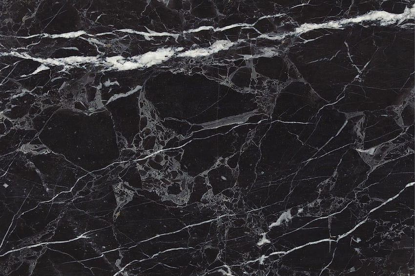 Nero Carrara. Marble Trend. Marble, Granite, Tiles. Toronto. Ontario : Marble Trend. Marble, Granite, Tiles. Toronto, Black Gold Marble HD wallpaper