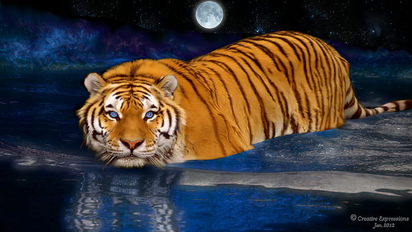 Лунно плуване, тигър, лунна светлина, изкуство, животни, вода HD тапет