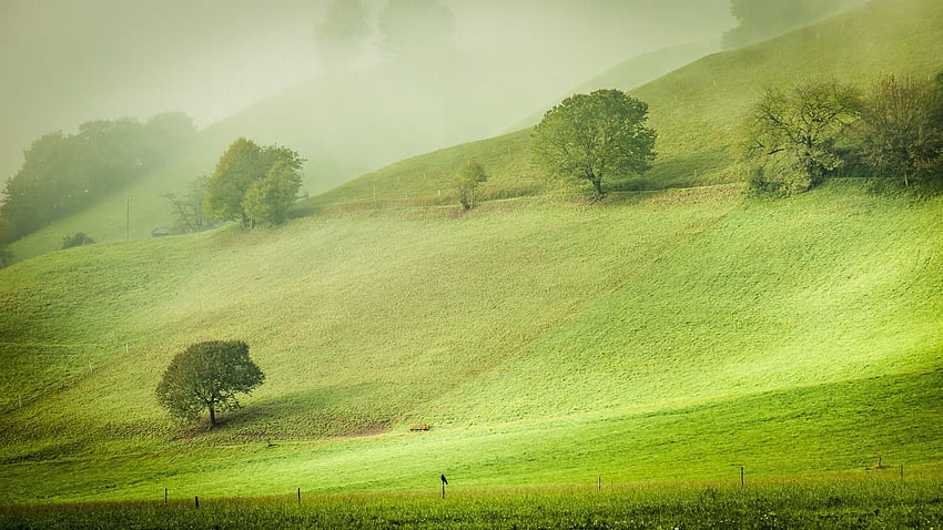 Nature, Landscape, Hill, Trees, Austria, Grass, Field, Mist, Morning ...