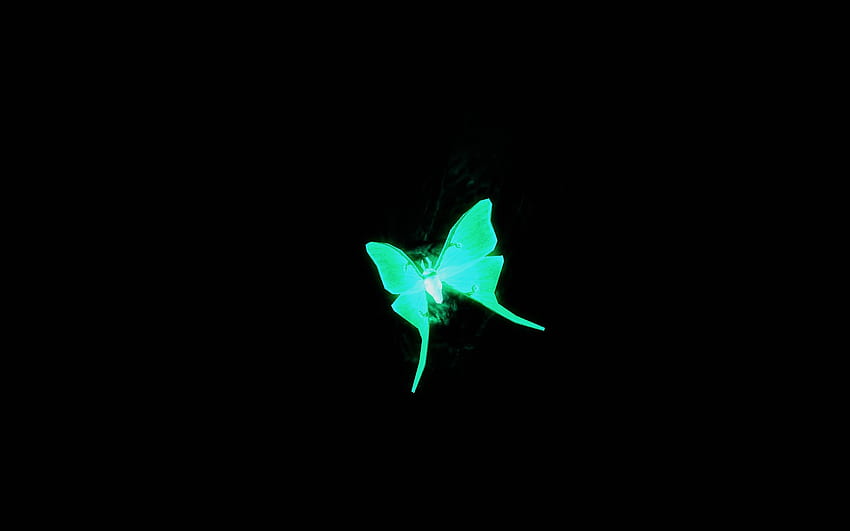 Luminescent Luna Moths SE. Skyrim Special Edition Mods HD wallpaper
