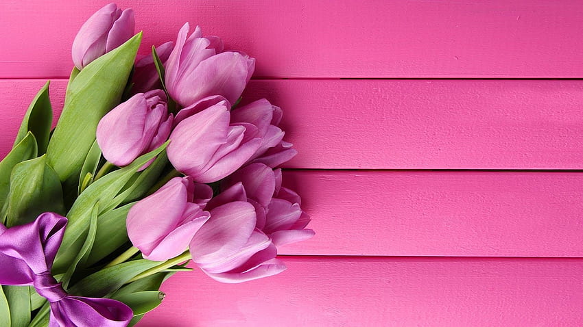 ดอกทิวลิป กลีบดอก ใบไม้ สีม่วง ลำต้น วอลล์เปเปอร์ HD