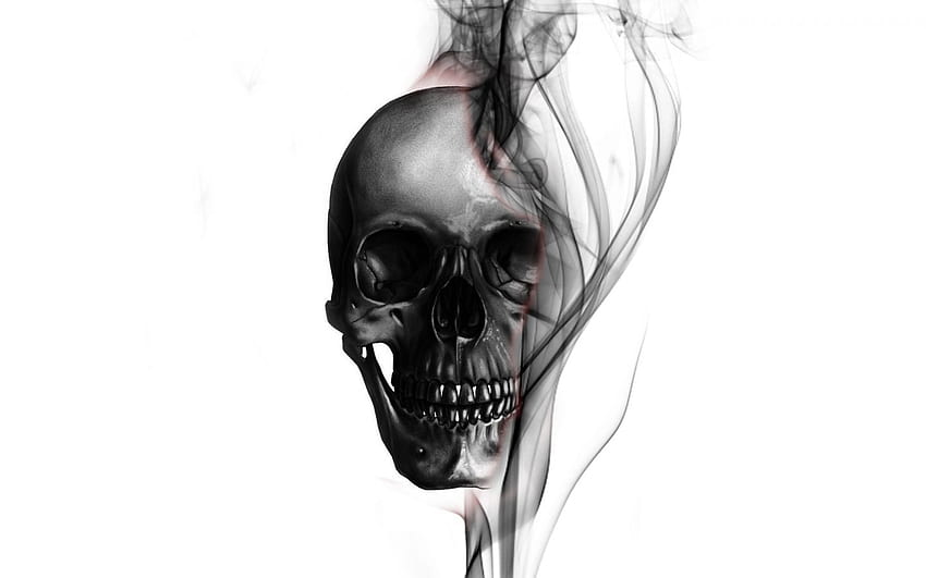 Skull Tumblr 1310964 [] for your , Mobile & Tablet. Explore Skeleton Tumblr. Skeleton Tumblr, Skeleton , Skeleton, Skeleton Aesthetic Tumblr HD wallpaper